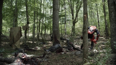 Click to view full size image
==============
twd1111_scnet_1393.jpg twd1111_scnet_1393.jpg
