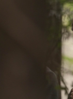 twd1112_scnet_1180.jpg