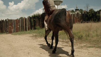 Click to view full size image
==============
twd1113_scnet_0151.jpg twd1113_scnet_0151.jpg
