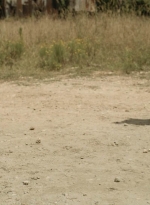 twd1113_scnet_0145.jpg