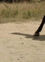 twd1113_scnet_0146.jpg