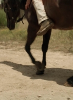 twd1113_scnet_0148.jpg