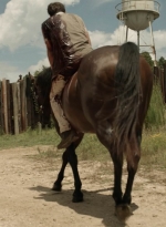 twd1113_scnet_0152.jpg