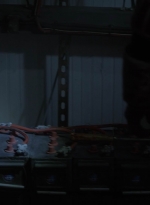 twd1114_scnet_1626.jpg
