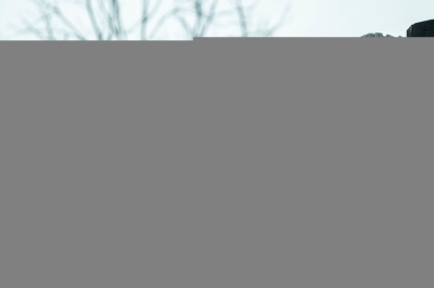 the-walking-dead-s11e15-trust-007.JPG