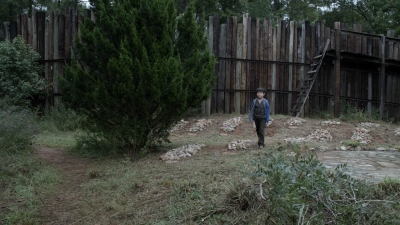 twd1115_scnet_2118.jpg