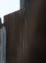 twd1115_scnet_1262.jpg