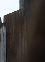 twd1115_scnet_1265.jpg
