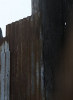 twd1115_scnet_1270.jpg