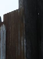 twd1115_scnet_1271.jpg