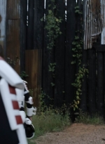 twd1115_scnet_1275.jpg