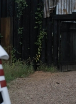 twd1115_scnet_1276.jpg
