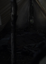 twd1115_scnet_2902.jpg