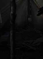 twd1115_scnet_2904.jpg