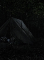 twd1115_scnet_2913.jpg
