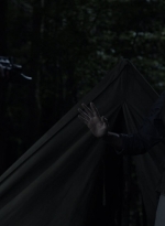twd1115_scnet_2982.jpg