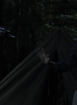 twd1115_scnet_2983.jpg