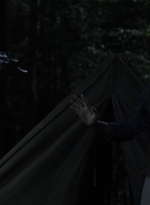 twd1115_scnet_2984.jpg