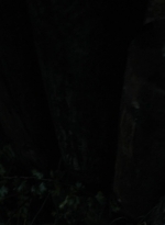 twd1116_scnet_0015.jpg