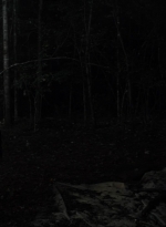 twd1116_scnet_1695.jpg