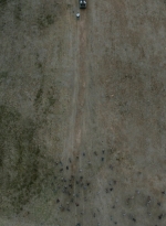 twd1123_scnet_0654.jpg