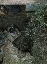 twd1123_scnet_1315.jpg