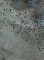 twd1123_scnet_1384.jpg