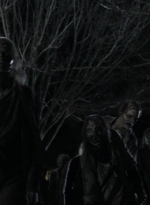 twd1124_scnet_2068.jpg