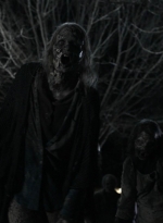 twd1124_scnet_2069.jpg