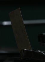 twd1124_scnet_2075.jpg