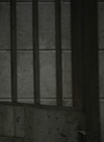 twd1124_scnet_2173.jpg