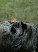 twd1124_scnet_2183.jpg