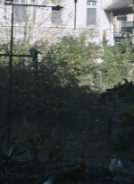 twddaryldixon102_scnet_1574.jpg