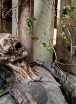 the-walking-dead-dead-city-s01e02-whos-there-005.jpg