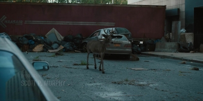 twddeadcity103_scnet_0168.jpg