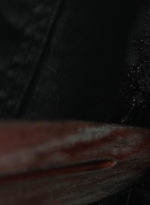 twd_theoneswholive105_scnet_2496.jpg